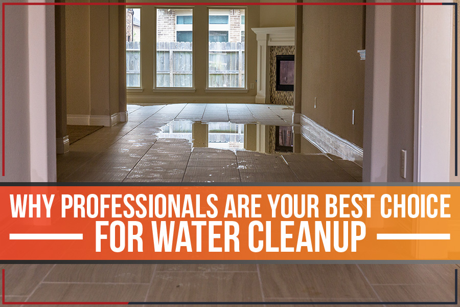 Why Professionals Are Your Best Choice For Water Cleanup
