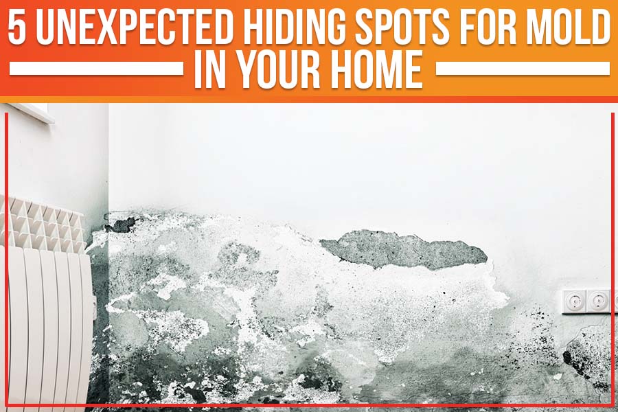 5 Unexpected Hiding Spots For Mold In Your Home